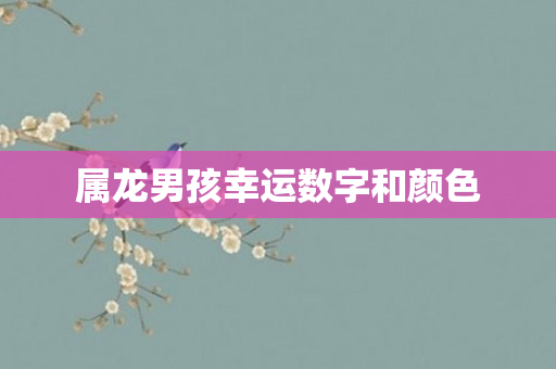 属龙男孩幸运数字和颜色