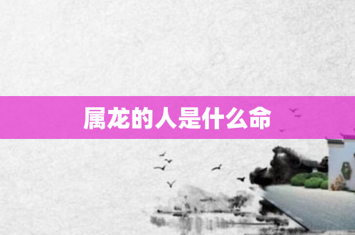 属龙的人是什么命