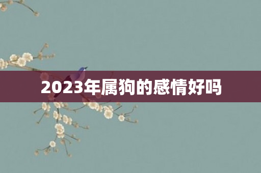 2023年属狗的感情好吗