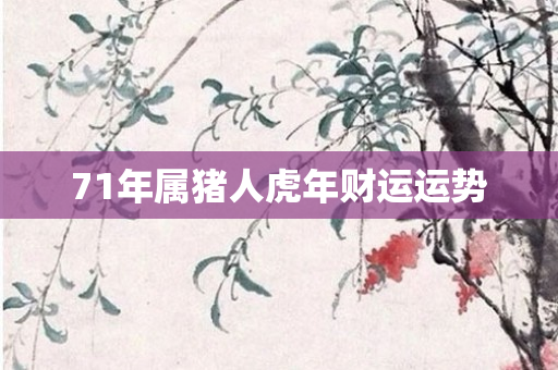 71年属猪人虎年财运运势