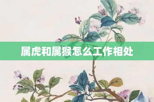 属虎和属猴怎么工作相处
