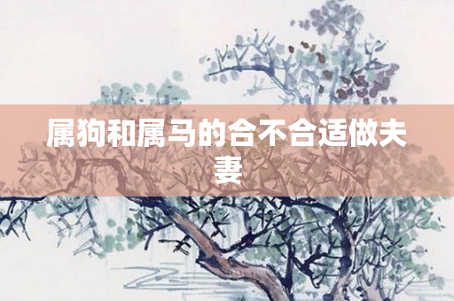 属狗和属马的合不合适做夫妻