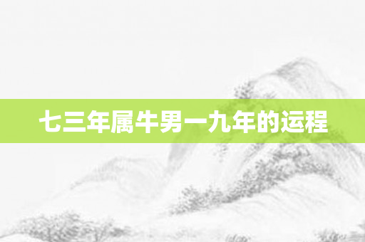 七三年属牛男一九年的运程