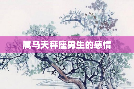 属马天秤座男生的感情