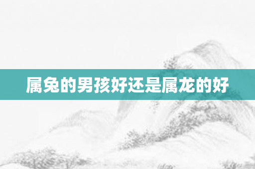 属兔的男孩好还是属龙的好