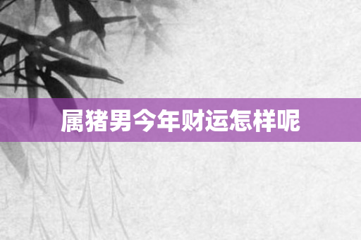 属猪男今年财运怎样呢
