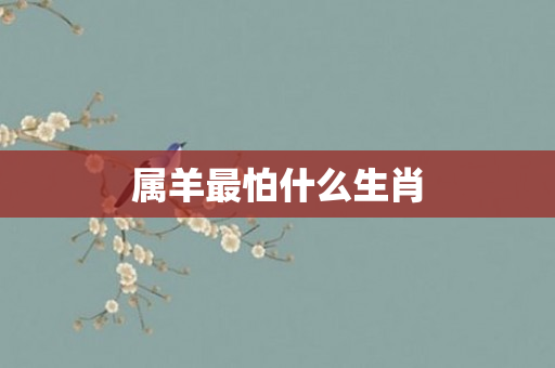 属羊最怕什么生肖
