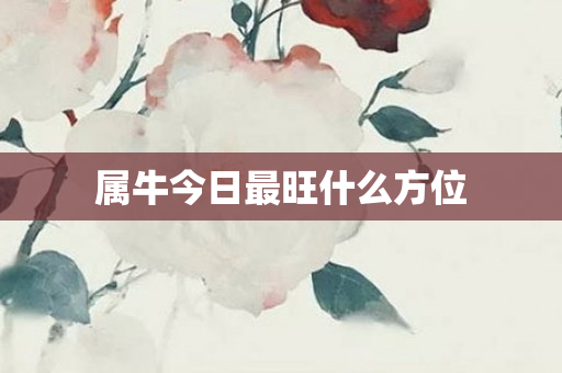 属牛今日最旺什么方位