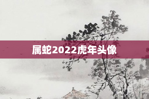 属蛇2022虎年头像
