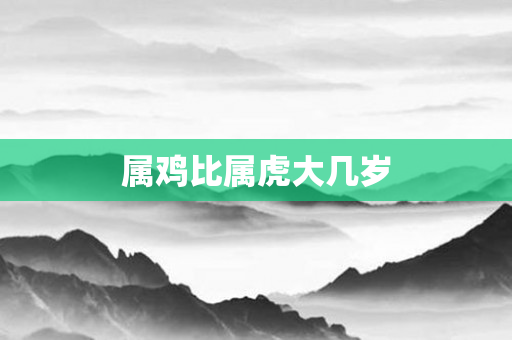属鸡比属虎大几岁