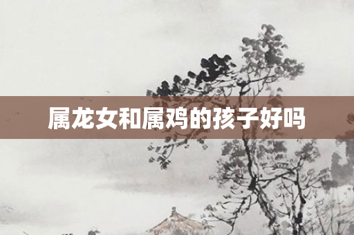 属龙女和属鸡的孩子好吗