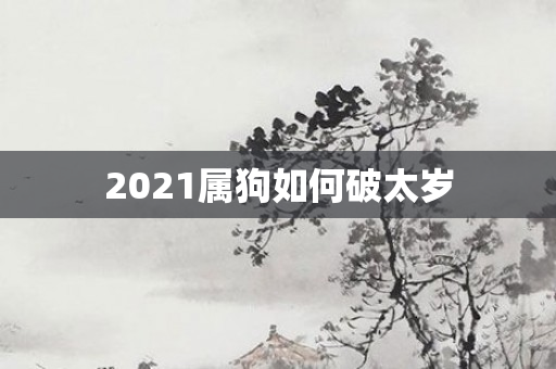 2021属狗如何破太岁
