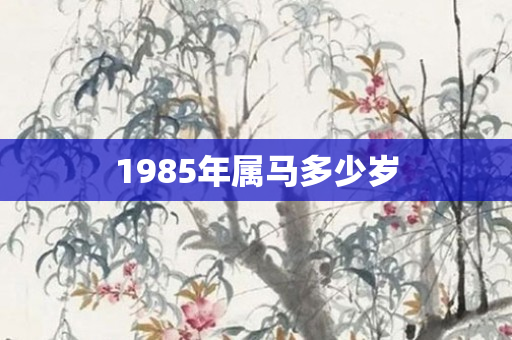 1985年属马多少岁
