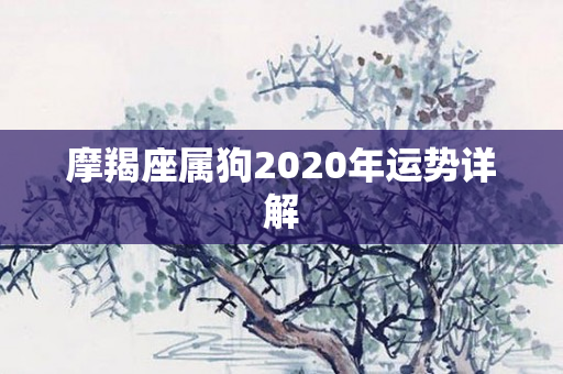摩羯座属狗2020年运势详解