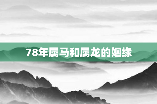 78年属马和属龙的姻缘