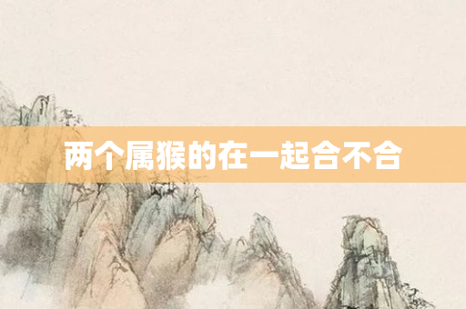 两个属猴的在一起合不合