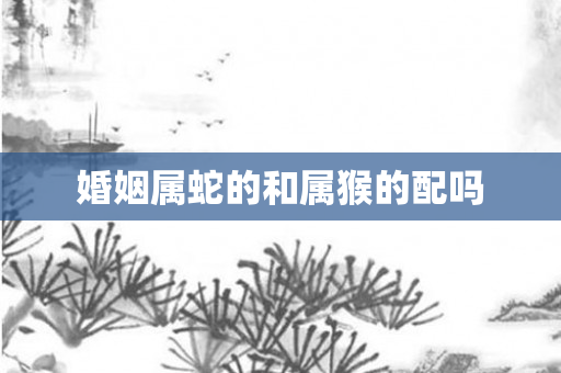 婚姻属蛇的和属猴的配吗