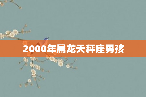 2000年属龙天秤座男孩
