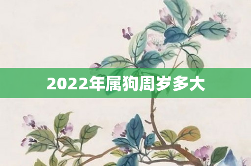 2022年属狗周岁多大