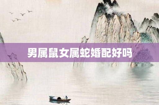 男属鼠女属蛇婚配好吗