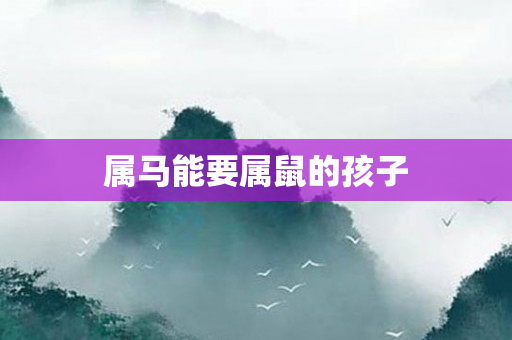 属马能要属鼠的孩子