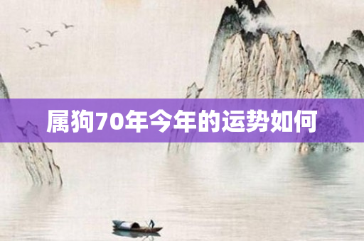 属狗70年今年的运势如何