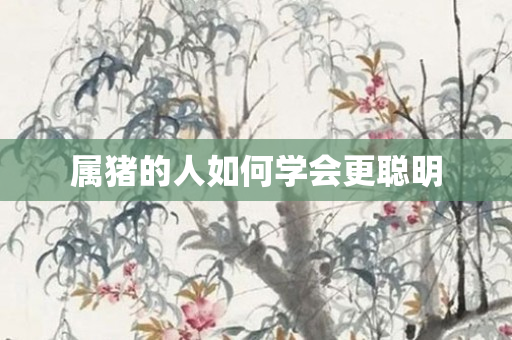 属猪的人如何学会更聪明