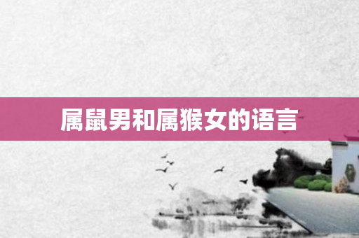 属鼠男和属猴女的语言