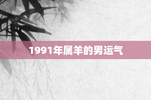 1991年属羊的男运气