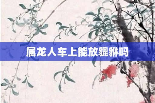 属龙人车上能放貔貅吗