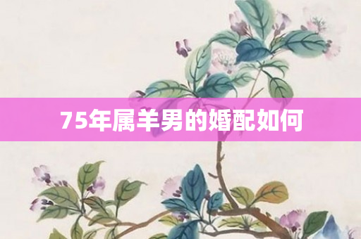 75年属羊男的婚配如何