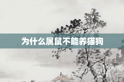 为什么属鼠不能养猫狗