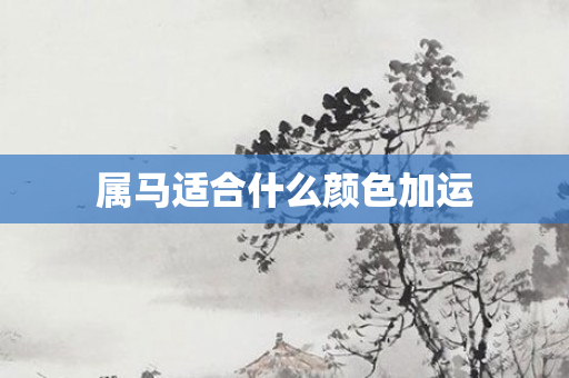 属马适合什么颜色加运