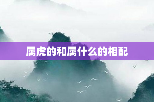 属虎的和属什么的相配