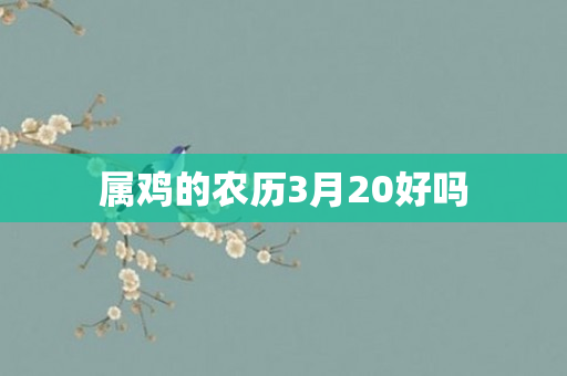 属鸡的农历3月20好吗