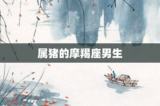 属猪的摩羯座男生