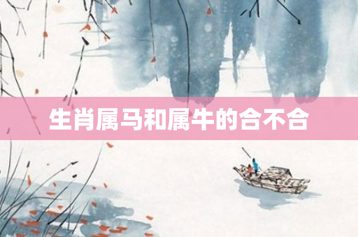 生肖属马和属牛的合不合
