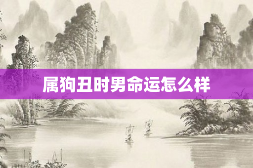 属狗丑时男命运怎么样