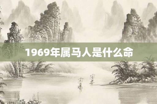 1969年属马人是什么命