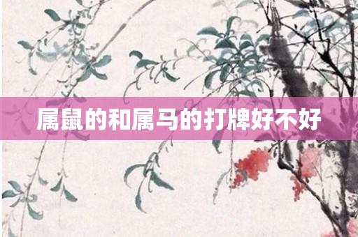 属鼠的和属马的打牌好不好