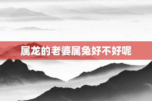 属龙的老婆属兔好不好呢