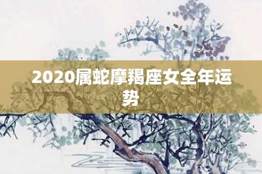 2020属蛇摩羯座女全年运势