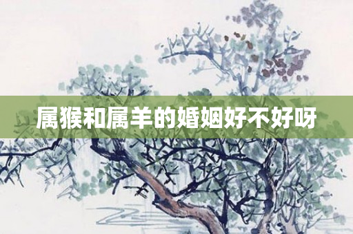 属猴和属羊的婚姻好不好呀