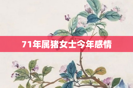 71年属猪女士今年感情