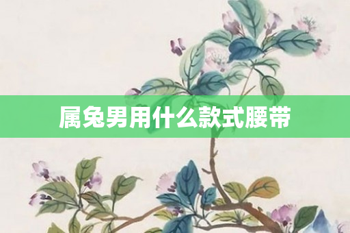 属兔男用什么款式腰带
