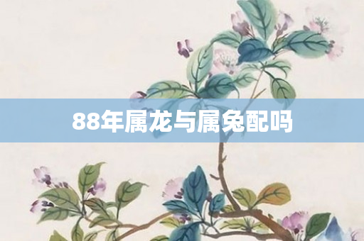 88年属龙与属兔配吗