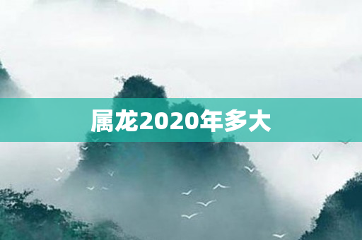 属龙2020年多大