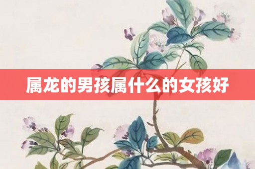 属龙的男孩属什么的女孩好