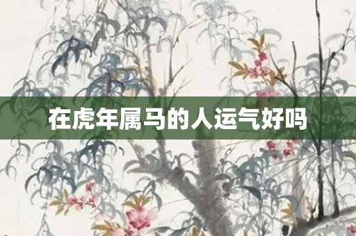 在虎年属马的人运气好吗
