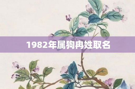 1982年属狗冉姓取名